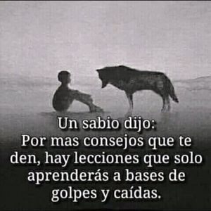 Meet your Posher, Alan